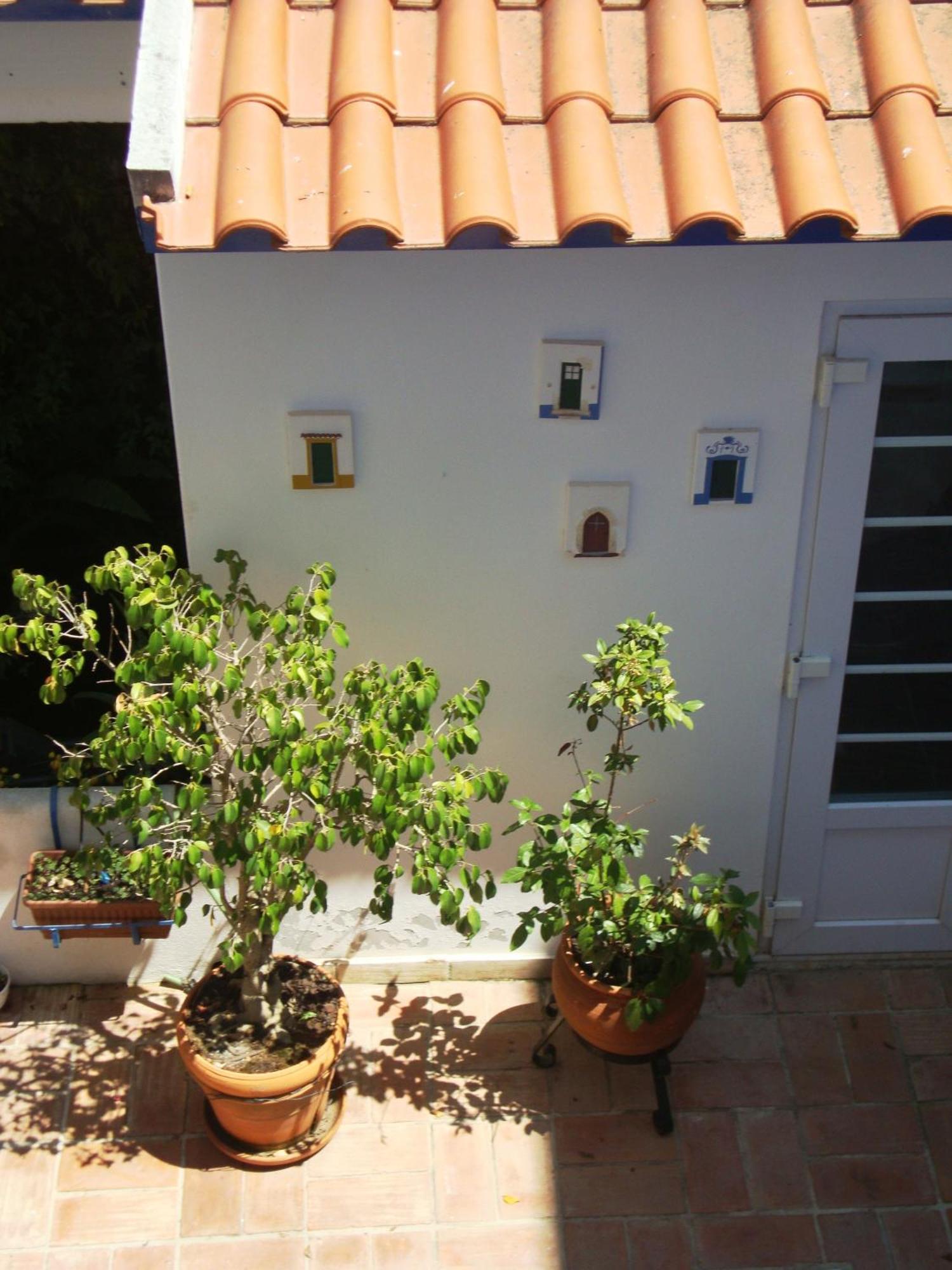 Hotel Mar E Sol Vnmf By Umbral Vila Nova de Milfontes Εξωτερικό φωτογραφία